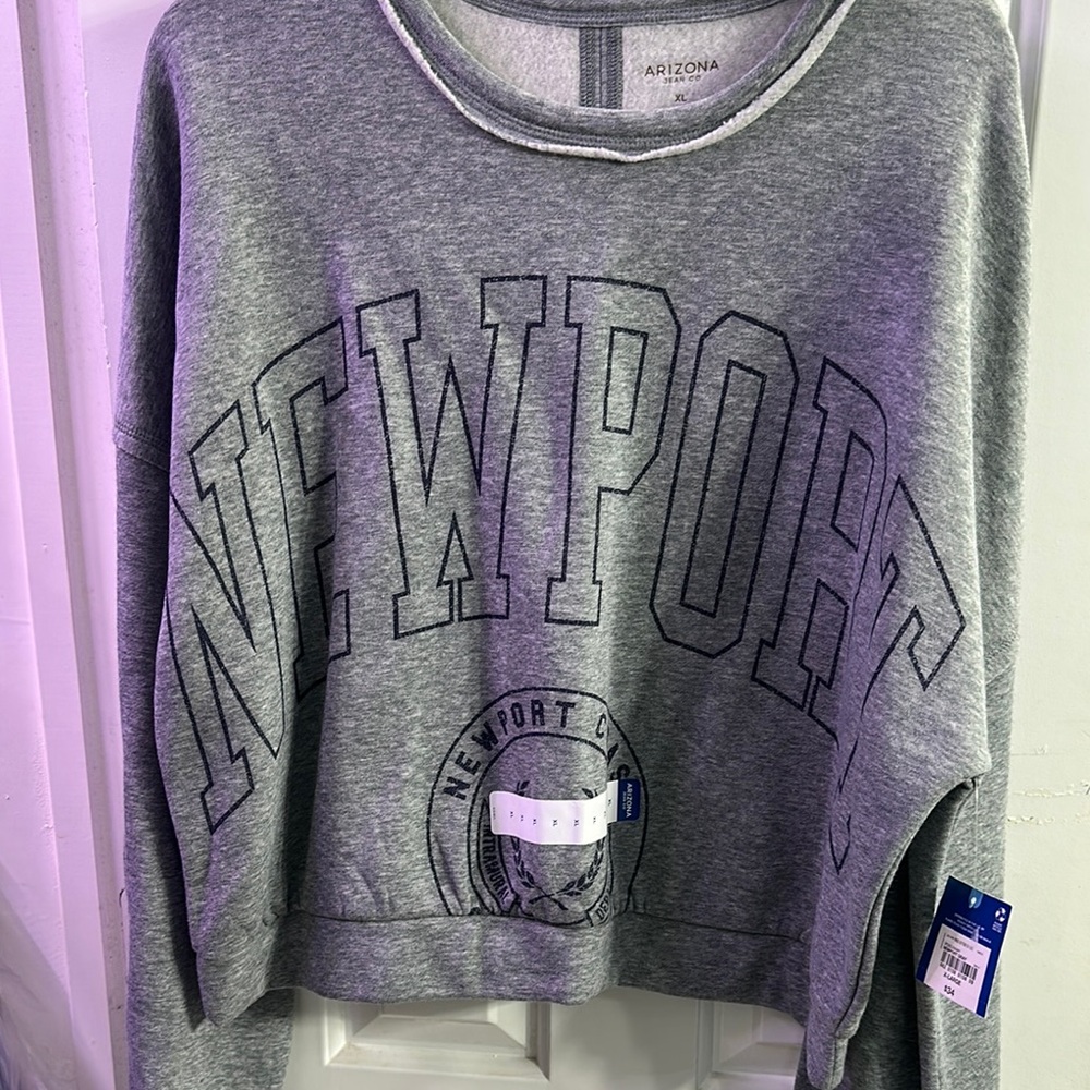 Arizona Jean Company Gray Boxy Hoodie